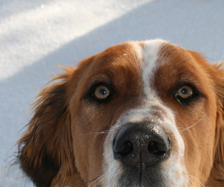 Naughty or nice?Just nosey!