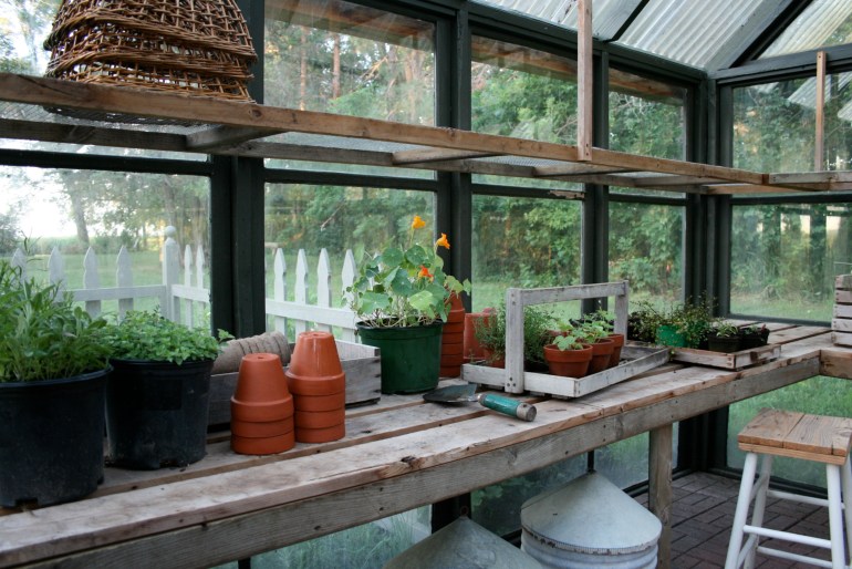 The greenhouse