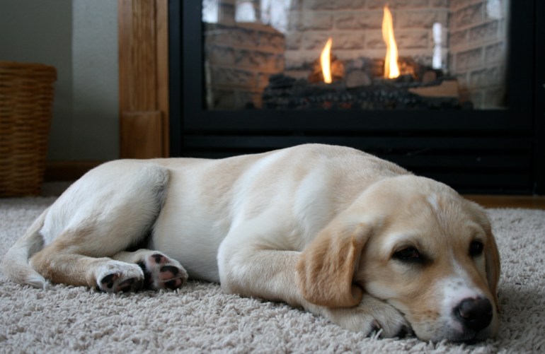 Hey, Spring--where are you?