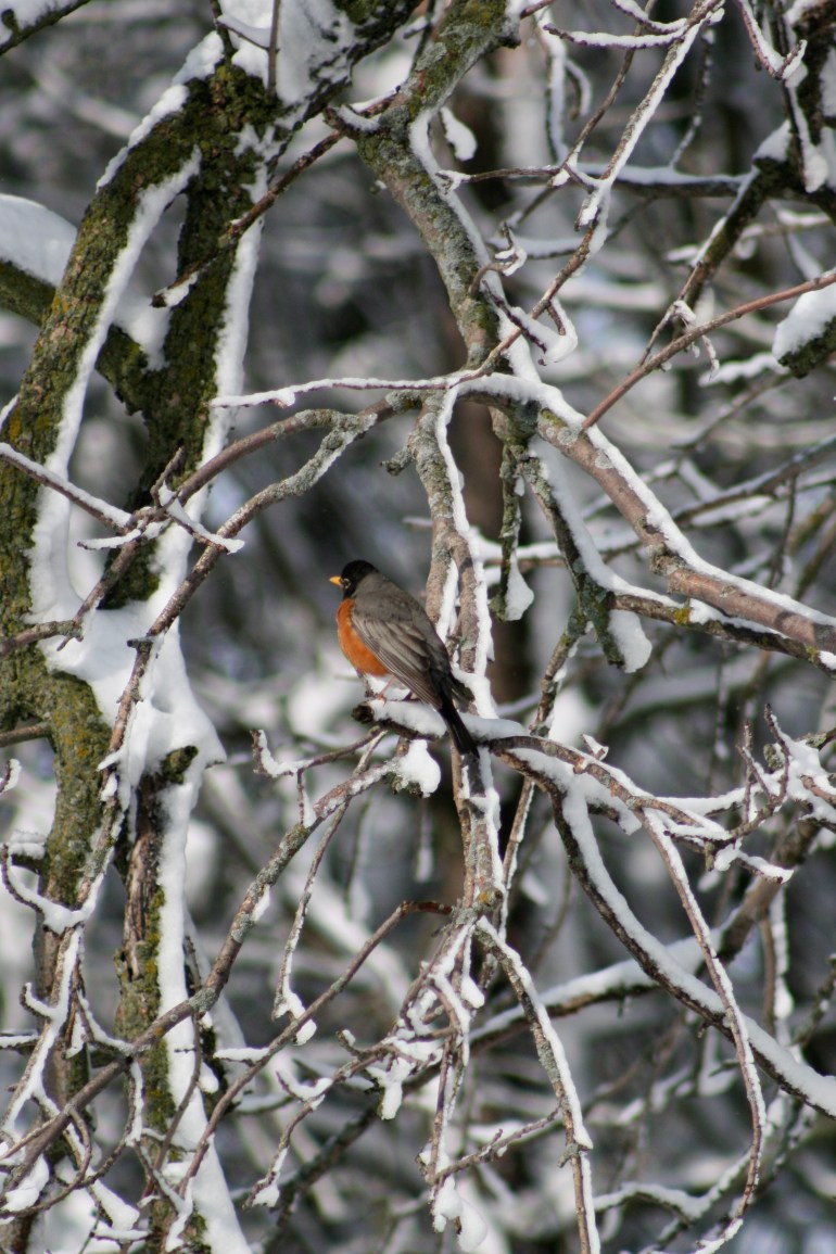 On the edge of Spring...