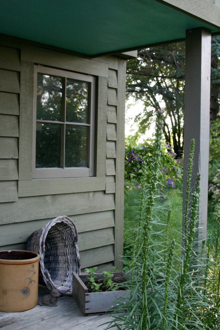 Find a spot of shade