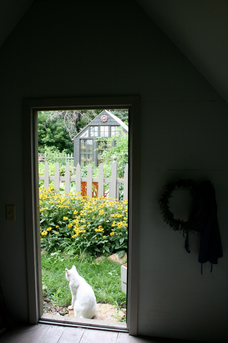 Shhh, I'm hiding in here