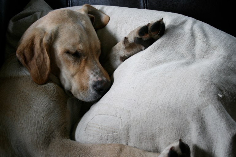 Let's hit the ground running!