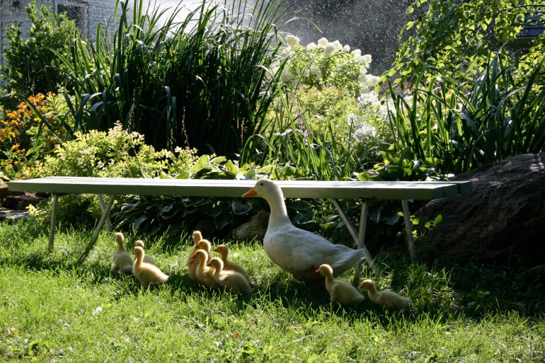 1st day of the real world!