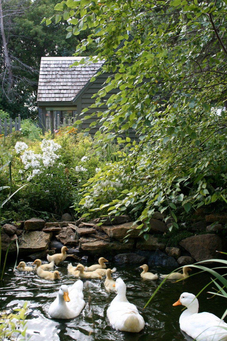 How quickly they grow up!