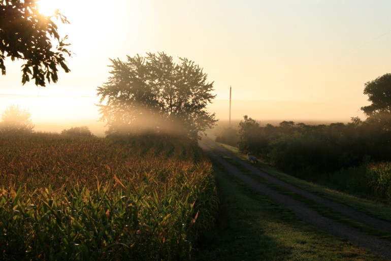 Early Autumn mornings