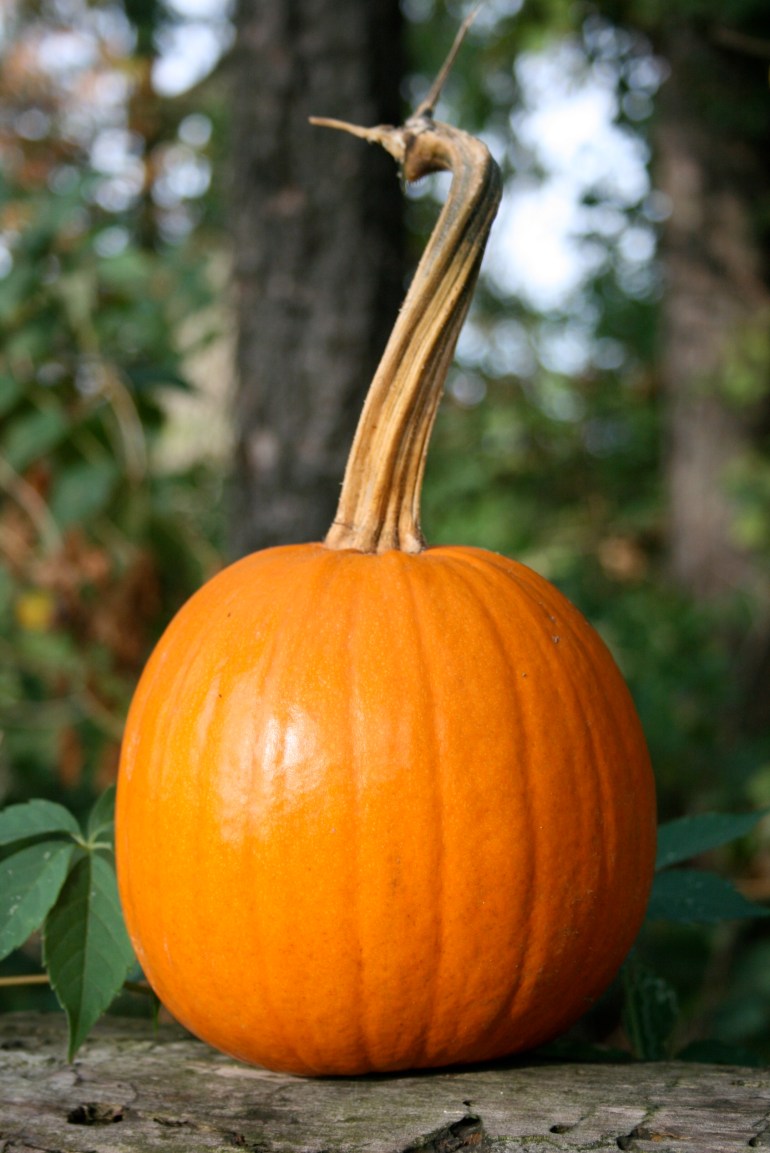 Can you hear the choir?