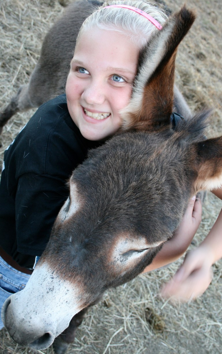 Hug a mini donkey!  