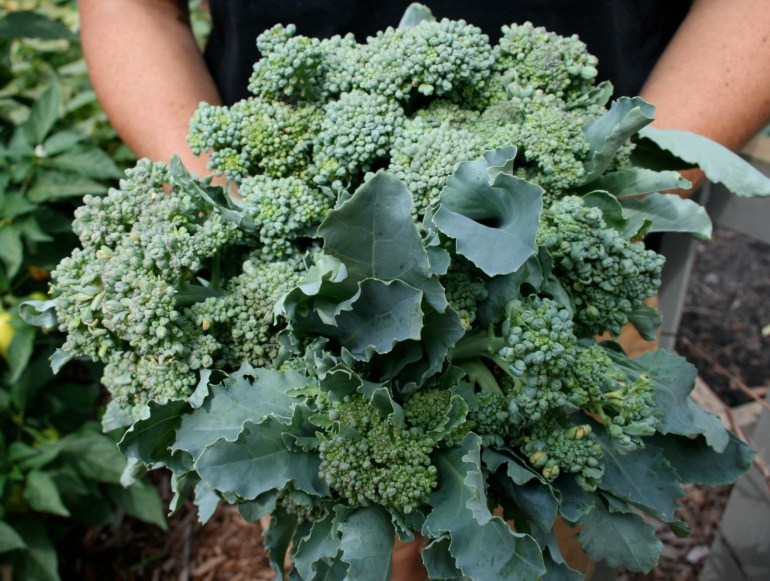 Skipping the broccoli