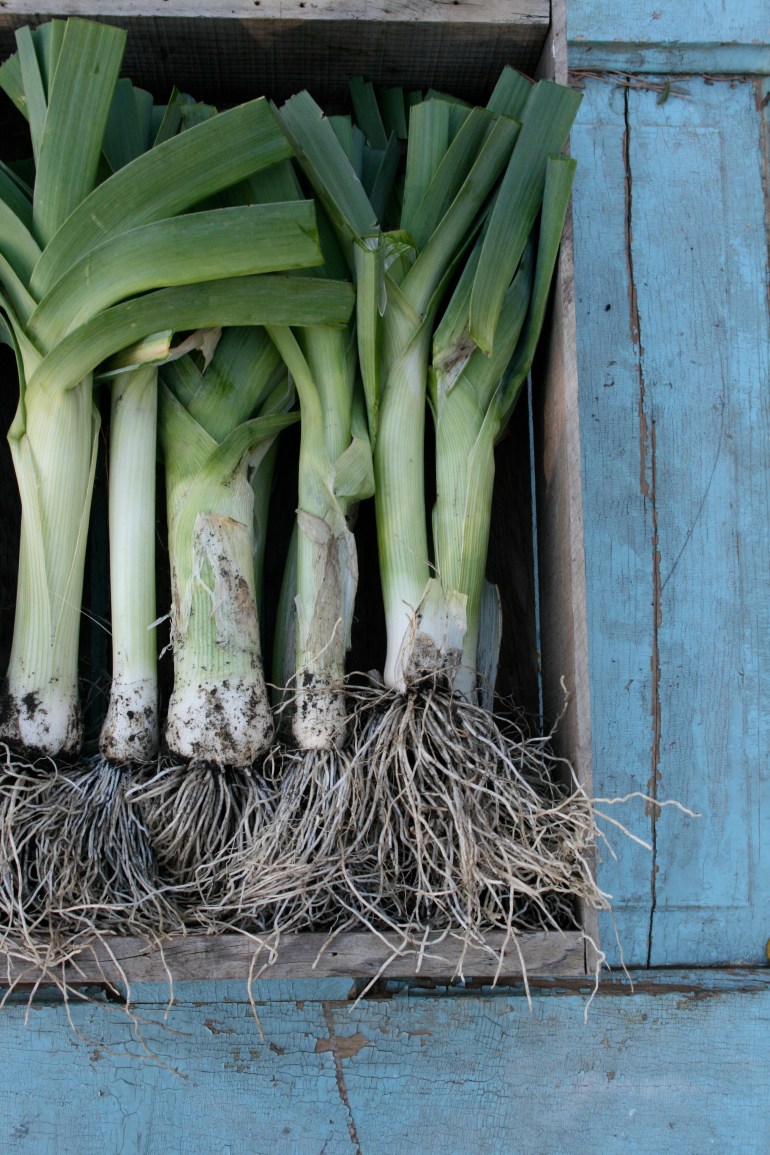 Leeks