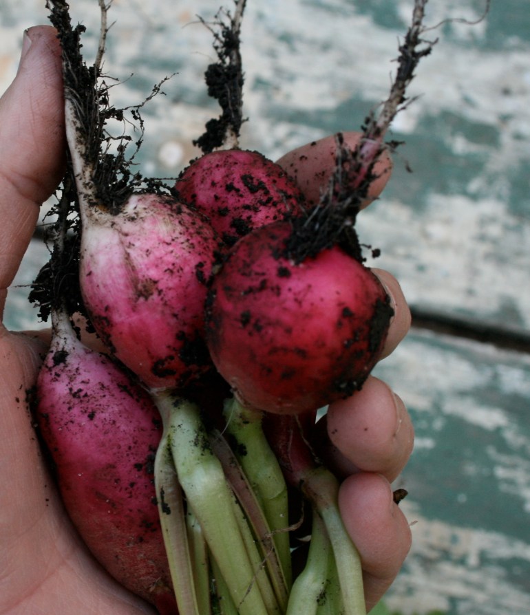 Predictions of a late Spring