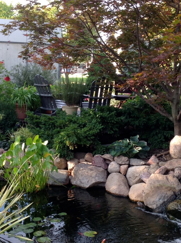 We are calling it--The Pond Project