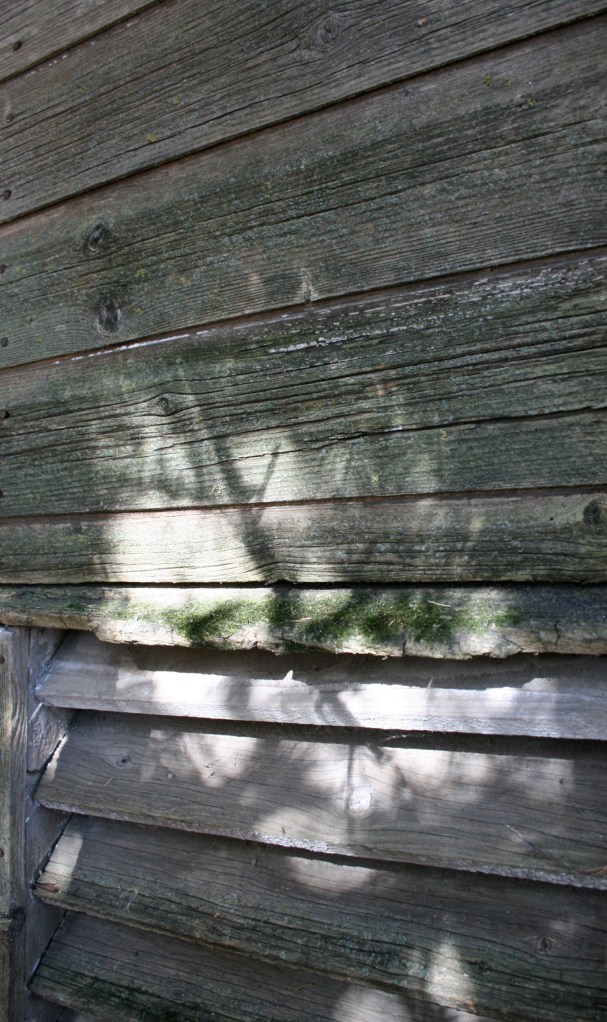 Old farm building weathered grey and mossy.  