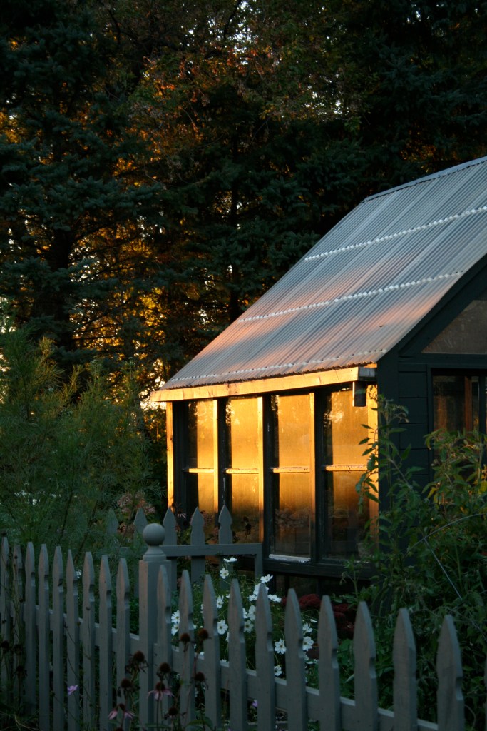Sunset On The Greenhouse