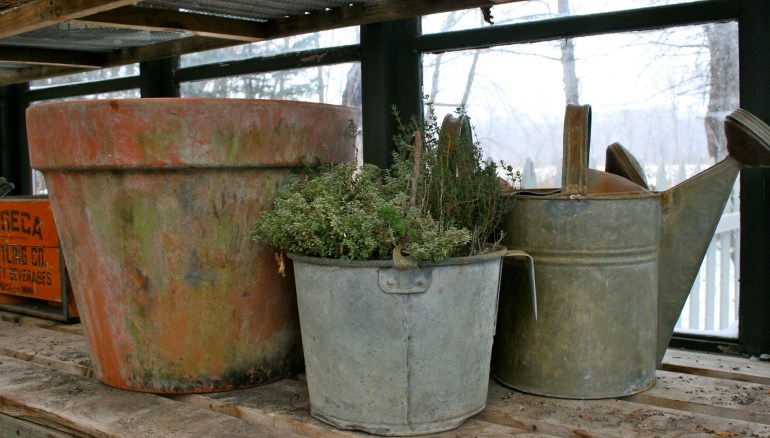 The greenhouse is an escape from the cold and snow.   