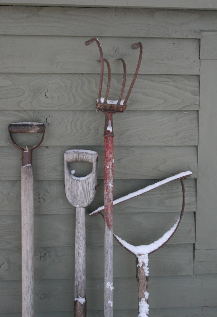 A Gardener's Tools