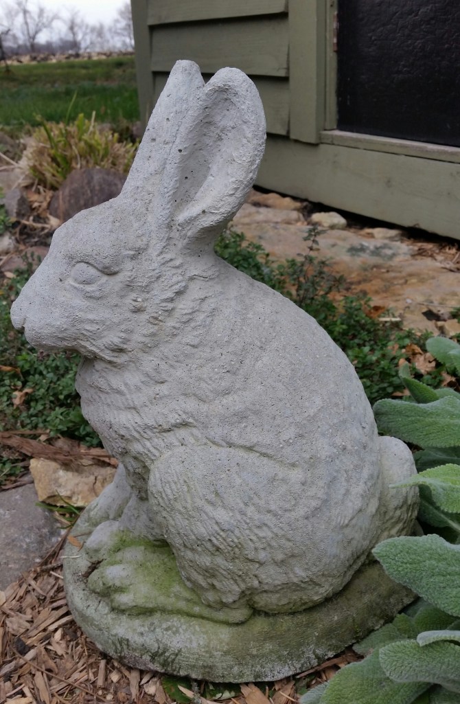 6 months old now and some nice moss growing on the new addition to Rabbit Run Cottage!