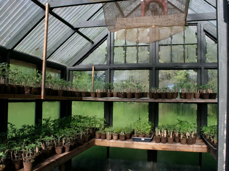 Yeah, I'm so excited!