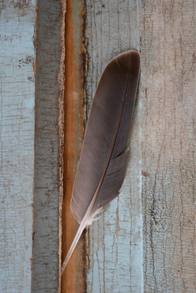 Heaven And Nature Sing