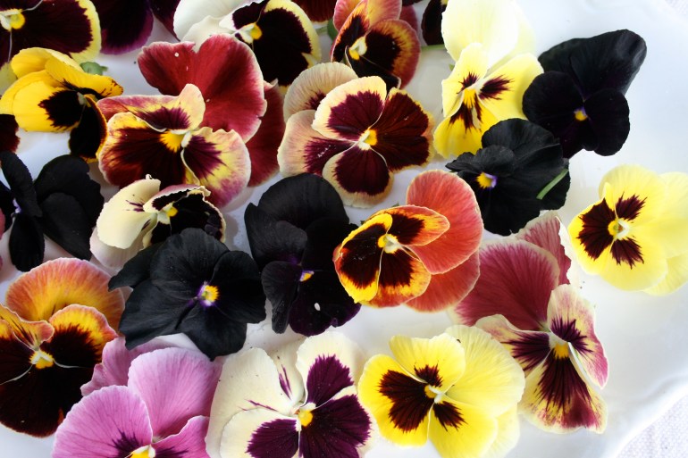 I'll take an extra large order of these pretty blossoms. 