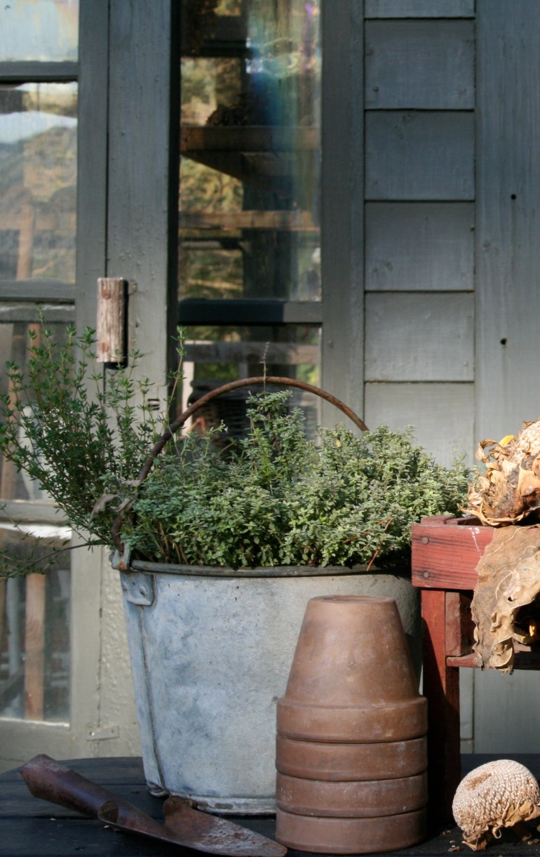 Bucket Of Thyme