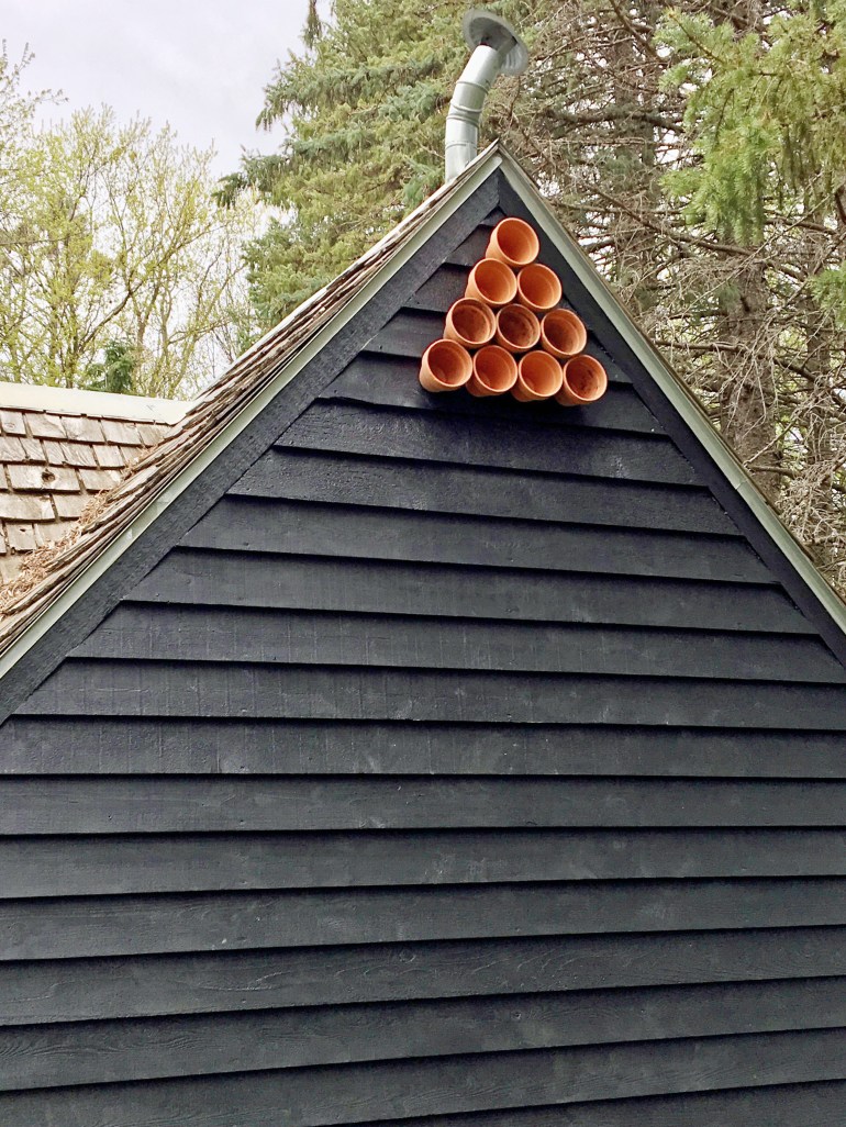 FullSizeRender (5).jpg