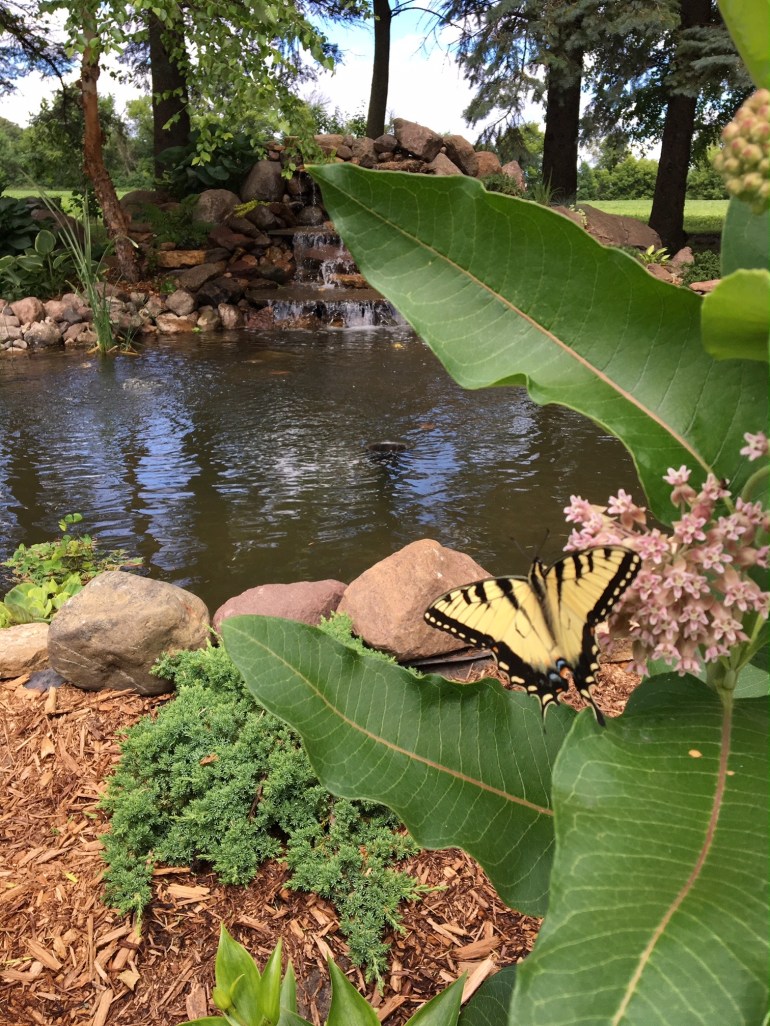 FullSizeRender (17).jpg