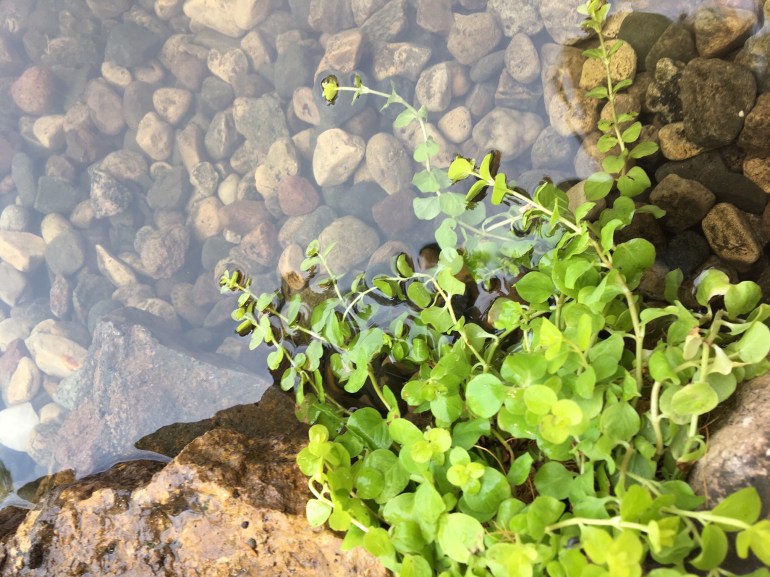 FullSizeRender (21).jpg